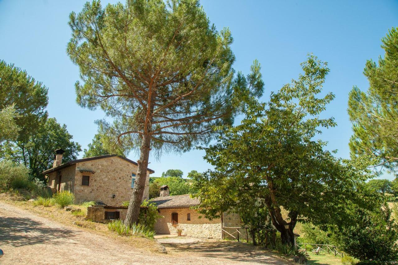 Agriturismo Bio Tra Cielo E Terra Apartment Grutti Exterior photo